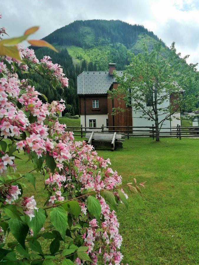 Apartamento Himmlisch Urlauben St. Nikolai Sankt Nikolai im Sölktal Exterior foto